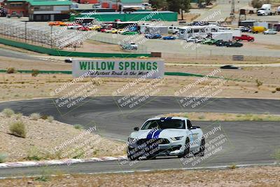 media/May-07-2022-Cobra Owners Club of America (Sat) [[e681d2ddb7]]/White/Session 3 (Turn 3)/